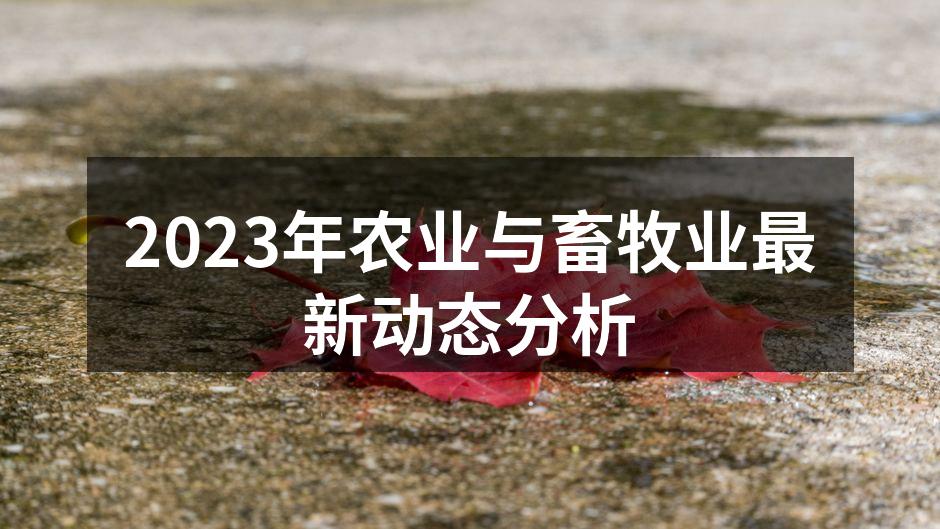 2023年农业与畜牧业最新动态分析